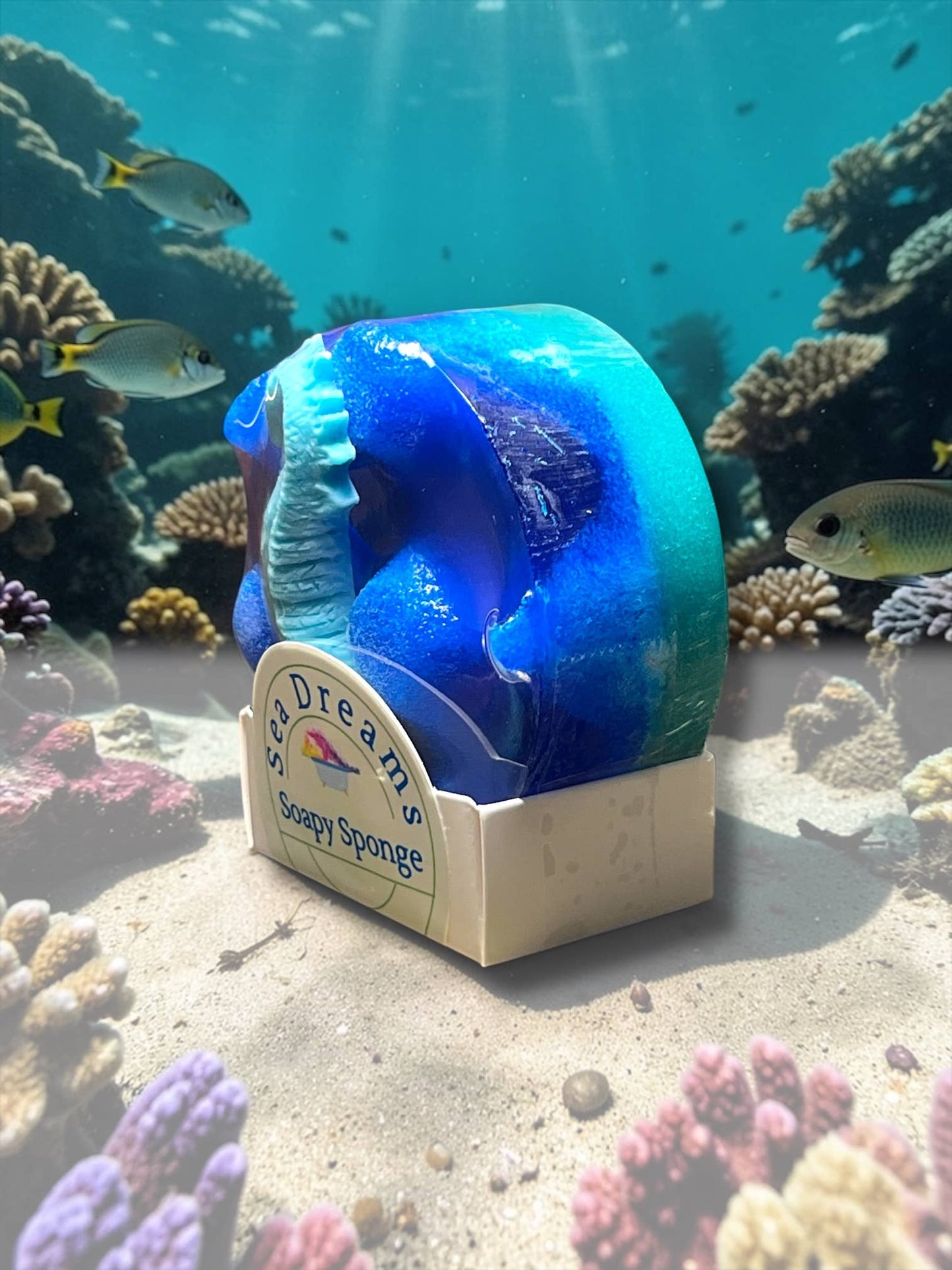 Soapy Sponge Sea Dreams