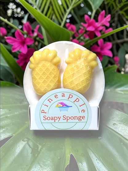 Soapy Sponge Pineapple