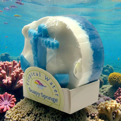 Soapy Sponge Tropical Water