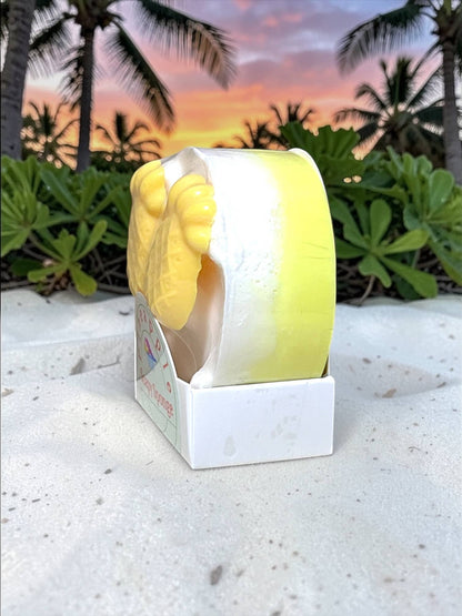 Soapy Sponge Pineapple